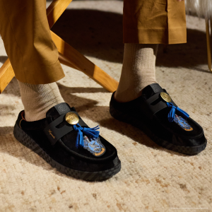 ravenclaw accessory pack multi